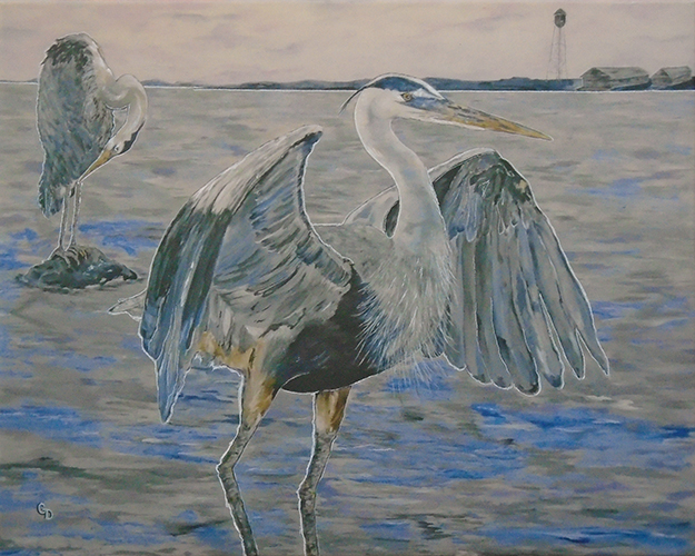 "Semiahmoo Great Blu Heron", by Georgia Donovan