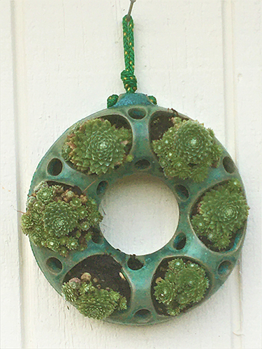 Succulent Wreath, Bonnie Ventura